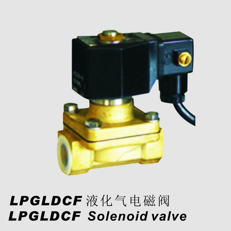 LPGLDCF 液化气电磁阀