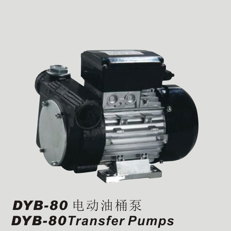 DYB-80电动油桶泵